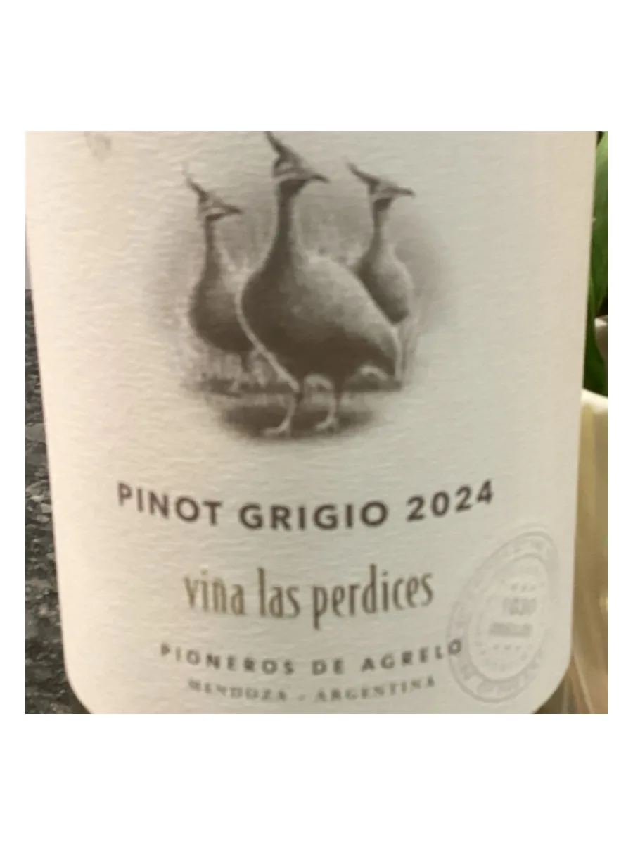 Bottle of Vina Las Perdices Pinot Grigio 750ml available at Ashburn Wine Shop
