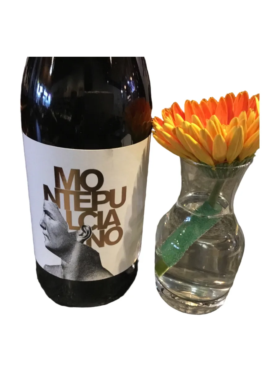 Bottle of Teanum Favugne Montepulciano Rosso Puglia 2024 available at Ashburn Wine Shop