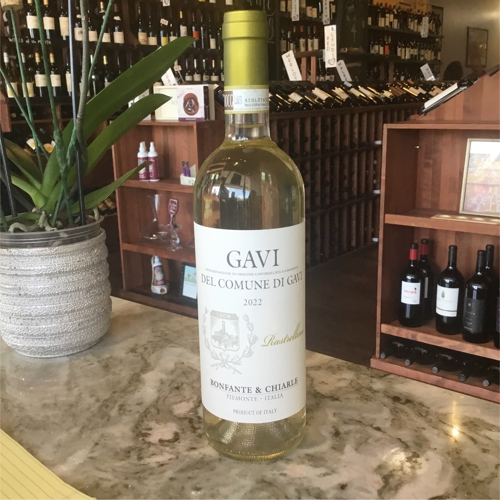 Bonfante & Chiarle - 'Rastrellino' - Gavi di Gavi - 2022 - 750ml