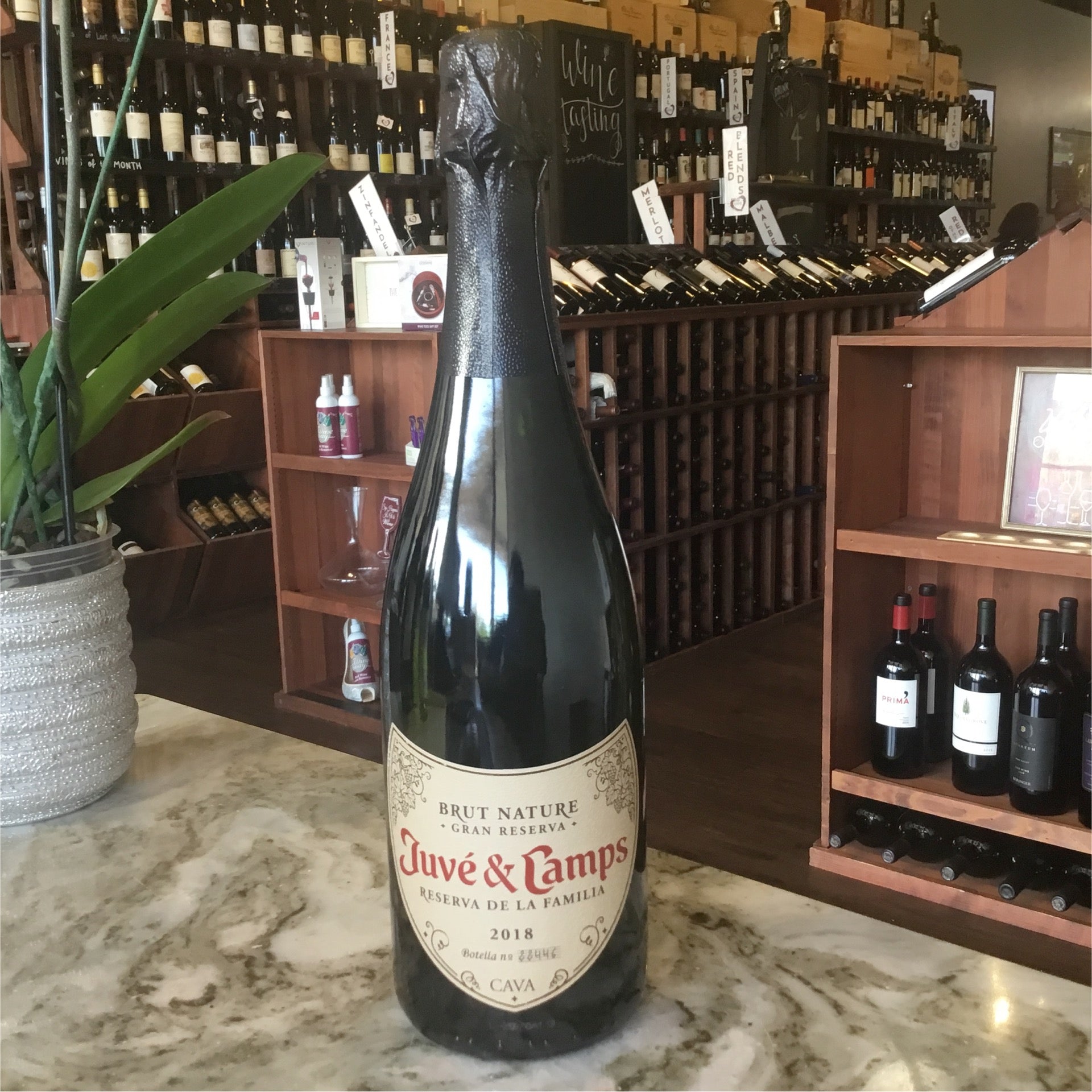 Juvé & Camps Gran Reserva Cava - Brut Nature - 2018 - 750ml