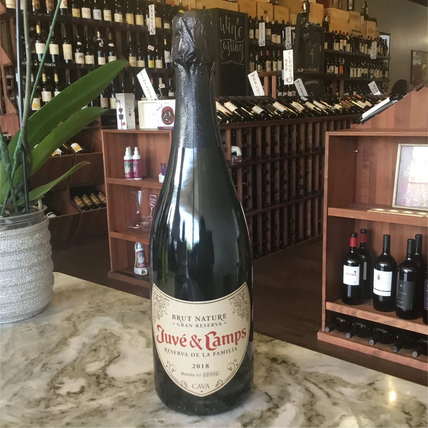 Juvé & Camps Gran Reserva Cava - Brut Nature - 2018 - 750ml