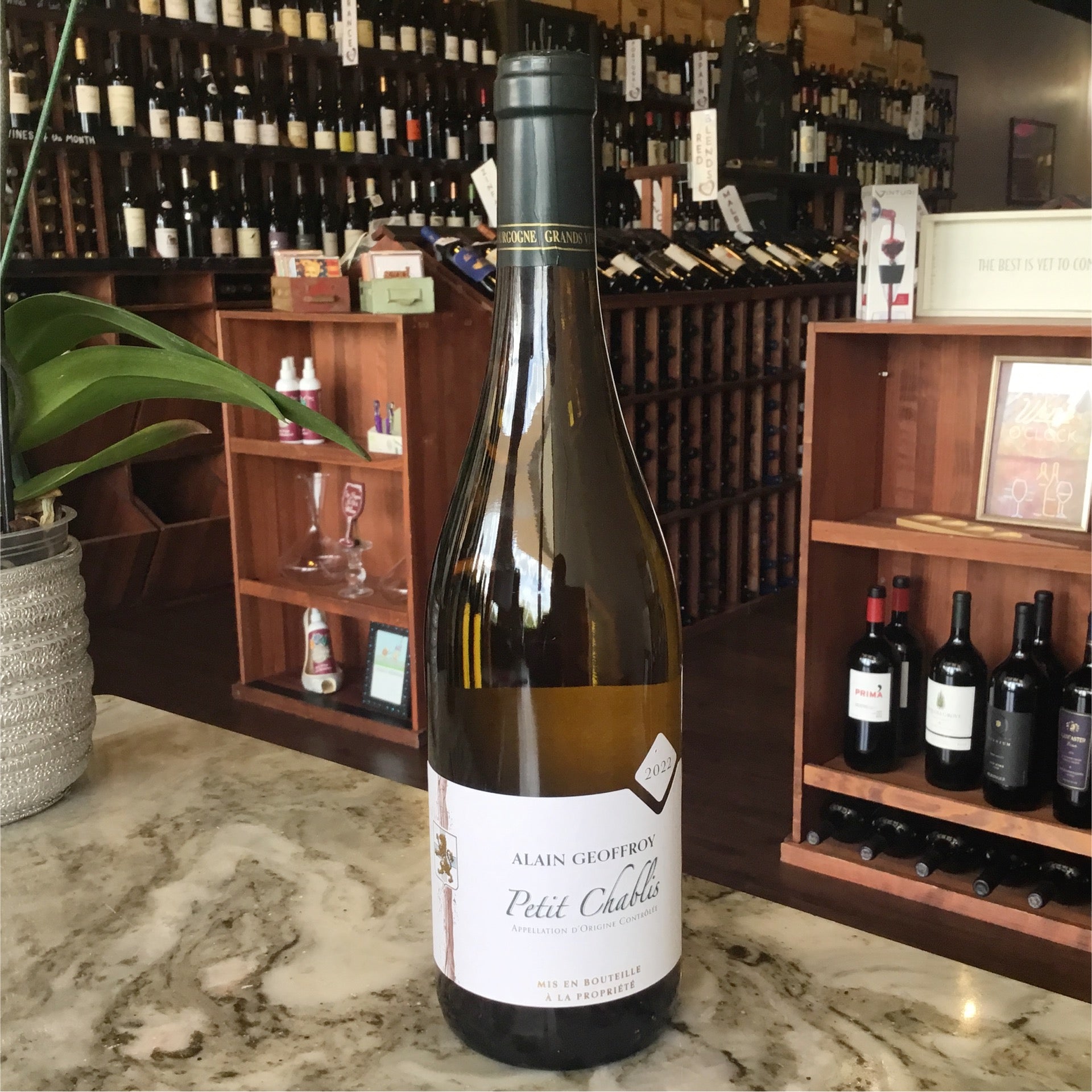 Alain Geoffroy - Petit Chablis - 2022 - 750ml