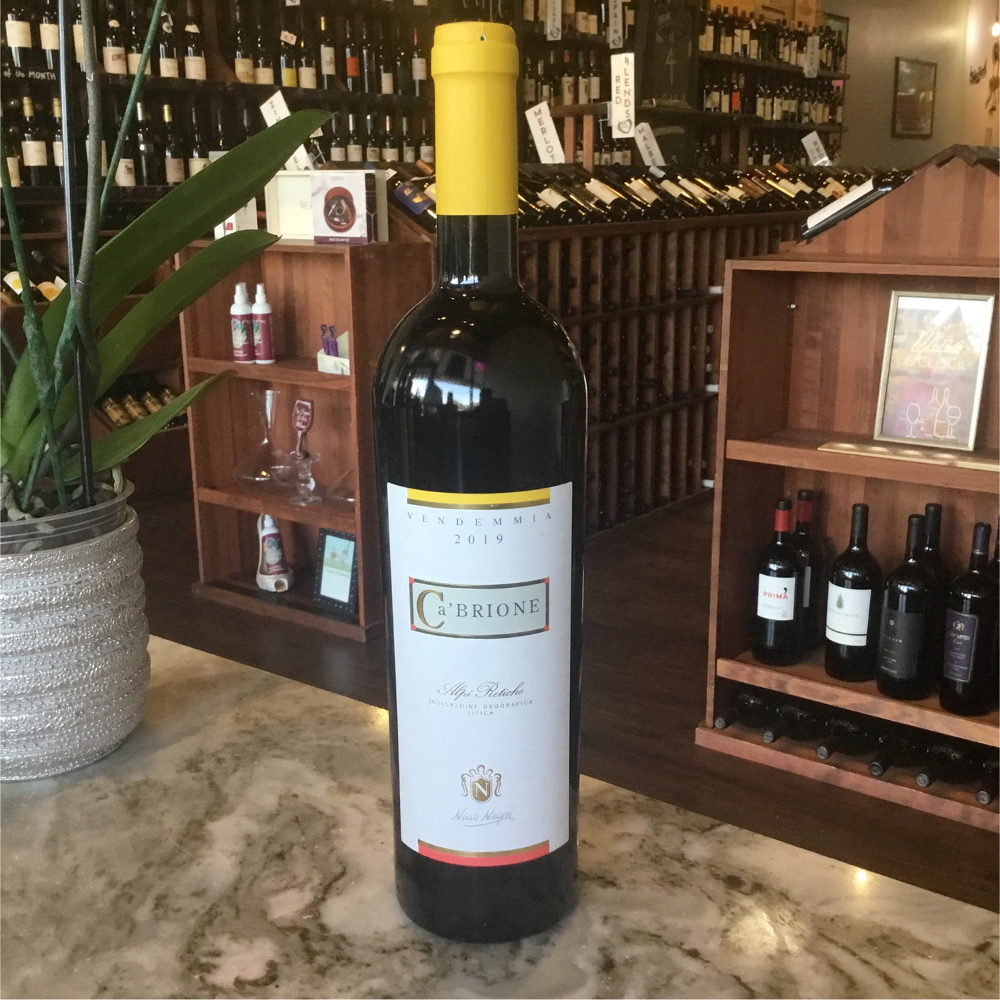 Nino Negri - Bianco Ca'Brione - 2019 - 750ml