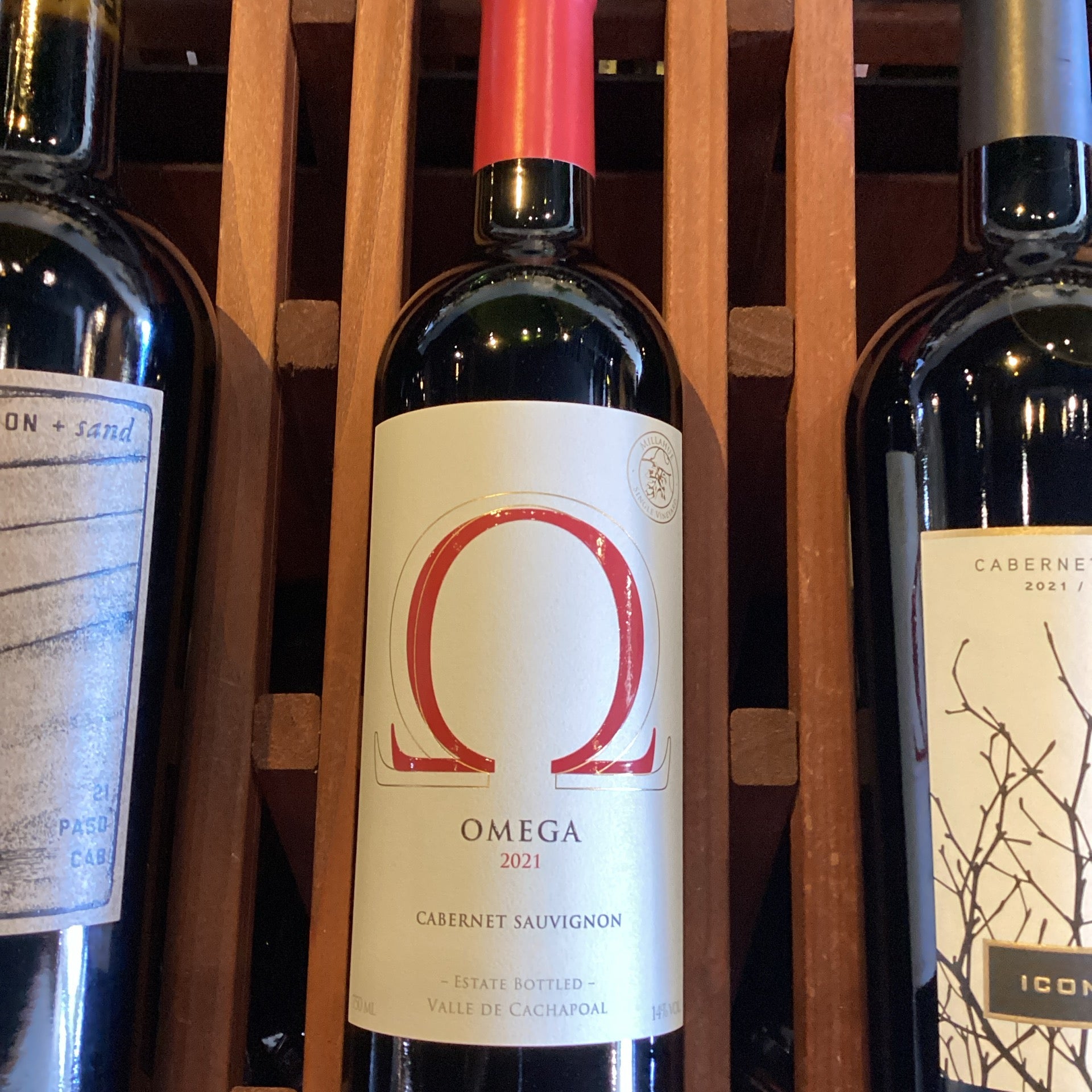 Vina Vik - 'Omega' - Cabernet Sauvignon - 2021 - 750ml